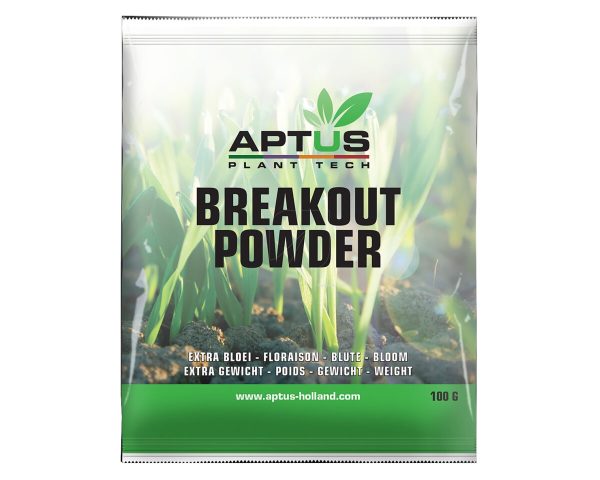 Break-out powder 1 kg