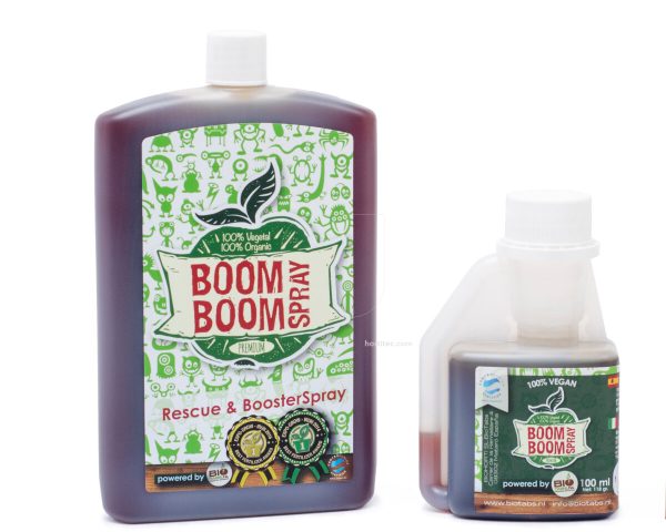 Boom Boom spray 250 ml