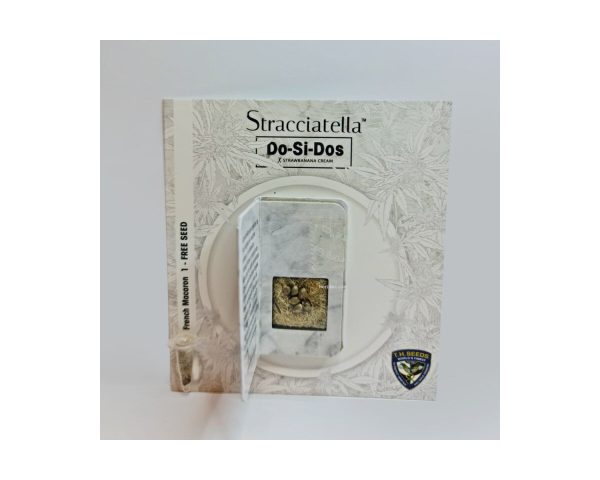 Stracciatella Do-Si-Dos x SBC