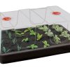 XL high dome black propagator