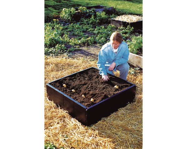 Grow Bed 230 L (98 x 98 x 25 cm)