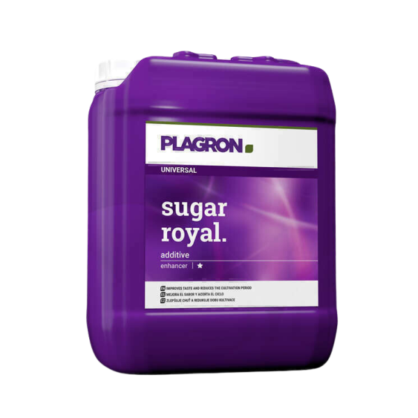 Sugar royal