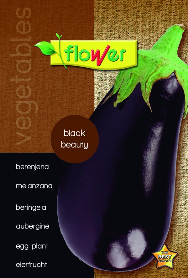 Black beauty eggplant