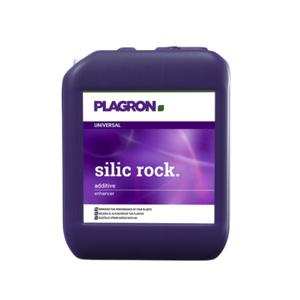 Silic Rock