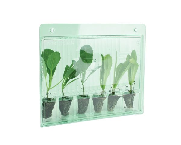 Carrying case for 6 cuttings