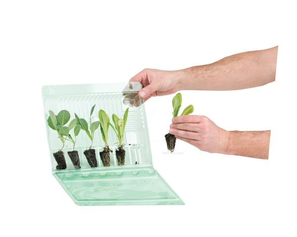 Carrying case for 6 cuttings - Image 2