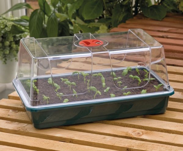 Small propagator (38 x 24 x 19 cm) Garland