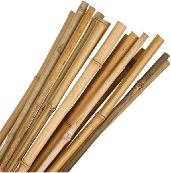 Bamboo tutor 1.20 m 500 units.