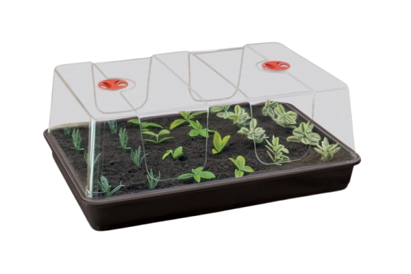 Large propagator (58 x 40 x 22.5 cm) Garland