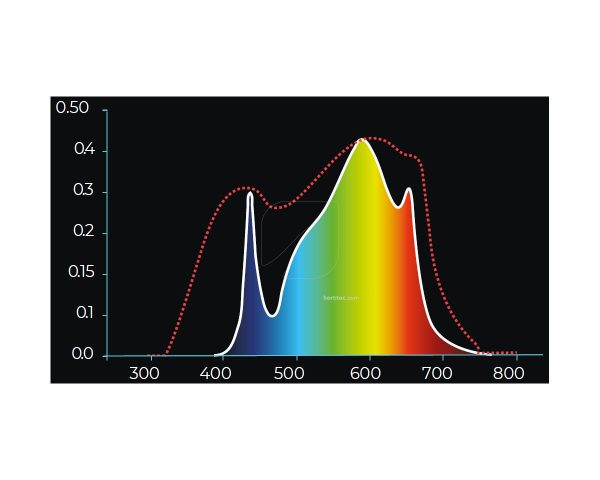 Sistema LED Super Star 60W - Image 5