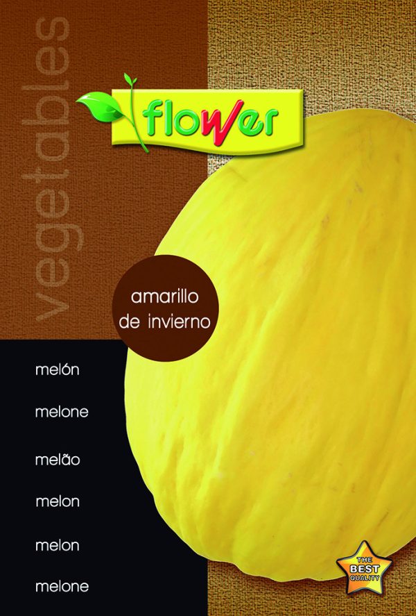 Yellow winter melon