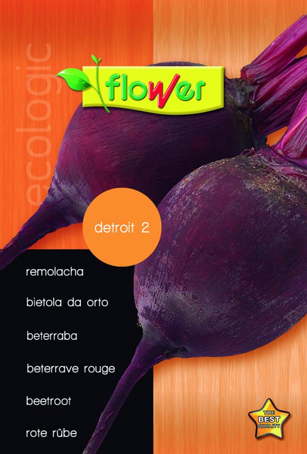 Remolacha detroit 2