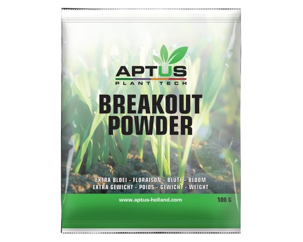 Break-out powder 100 g