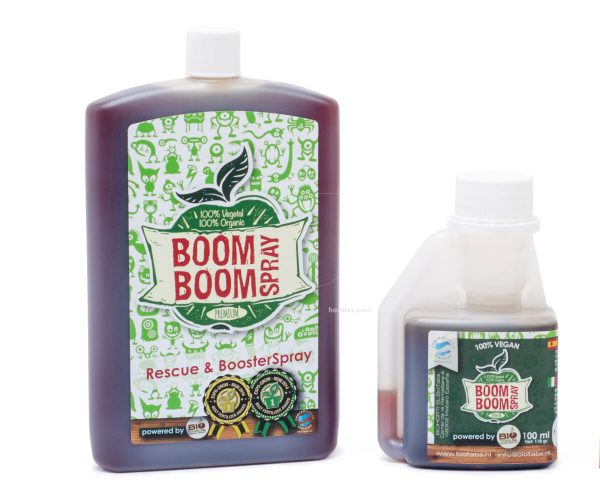 Boom Boom spray 100 ml