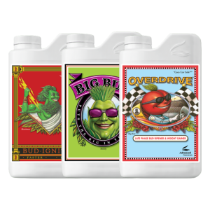 Bigger buds tri-pack