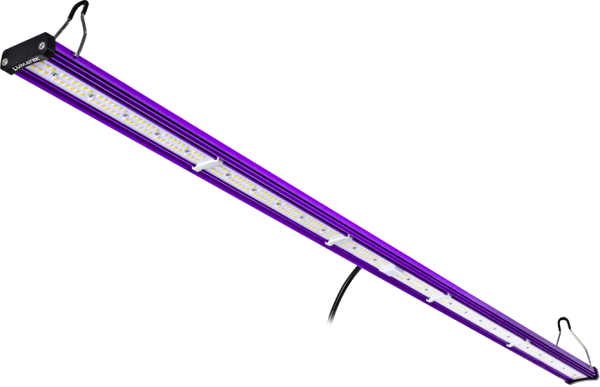 Barra LED suplementaria 100W + Driver