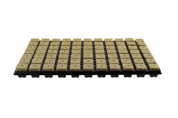 Bandeja 77 plugs Grodan