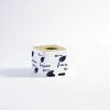Grodan bloque 100x100x65 mm ag. grande improved