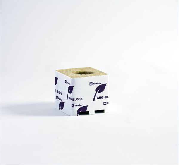 Grodan bloque 100x100x65 mm ag. grande improved