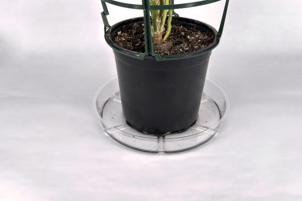 Round transparent plastic plate (20 cm) VDL - Image 3