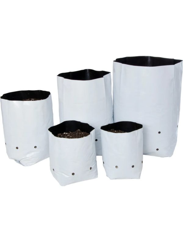 Bolsa de cultivo blanca 52 x 24 19 L (50 uds) VDL