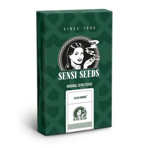 Black Domina® regular (10)