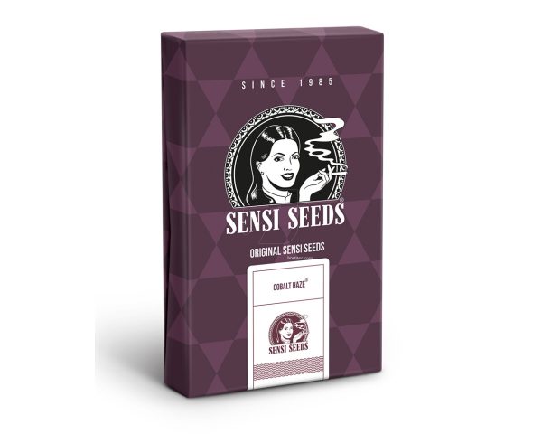 Cobalt haze (10) 100% sensi seeds