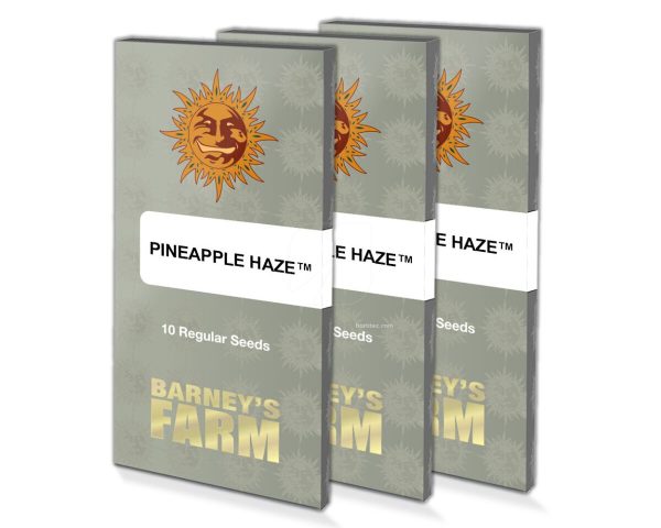 Pineapple Haze (10)
