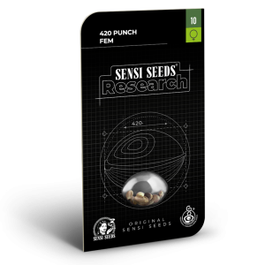420 punch (5) 100% sensi seeds