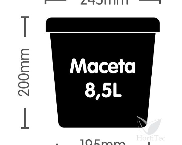 Maceta autopot 8.5 l - Image 3
