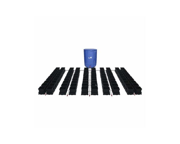 Easy2grow 100 (maceta 8,5l)