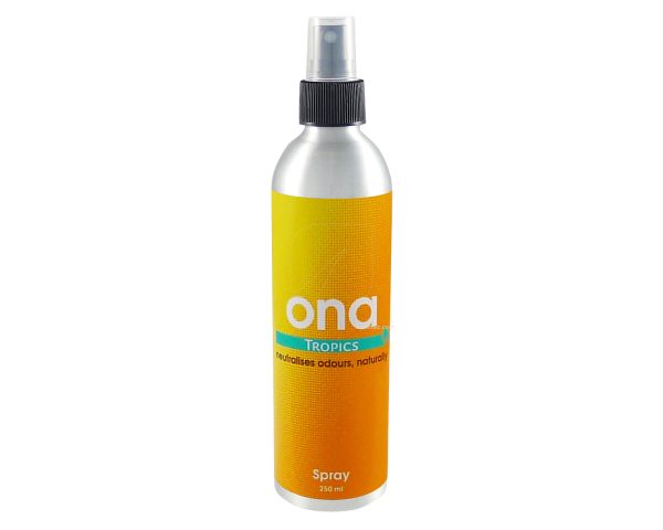 Ona Spray apple crumble 250 ml - Image 4