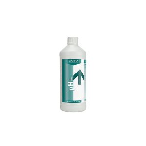 pH Plus 1 L (5%)