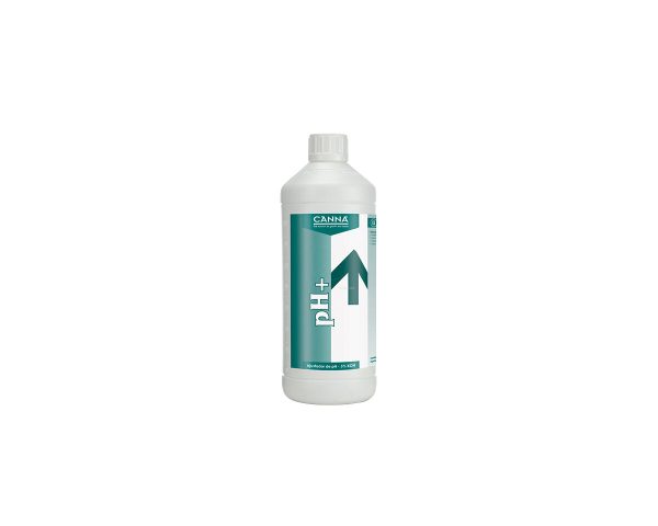 pH Plus 1 L (5%)