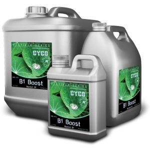 B1 boost 1 l