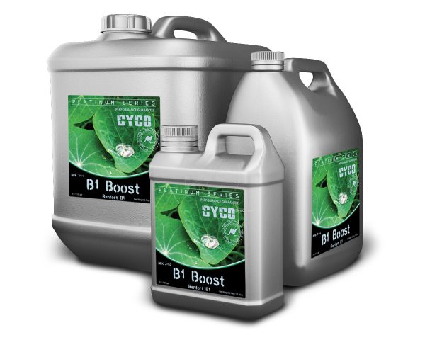B1 boost 1 l