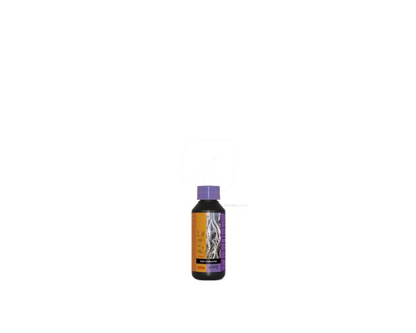 Estimulador radicular 250 ml