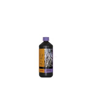 Estimulador radicular 1 l