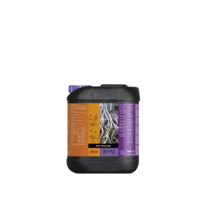 Estimulador radicular 5 l