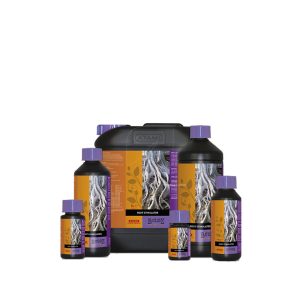 Estimulador radicular 100 ml