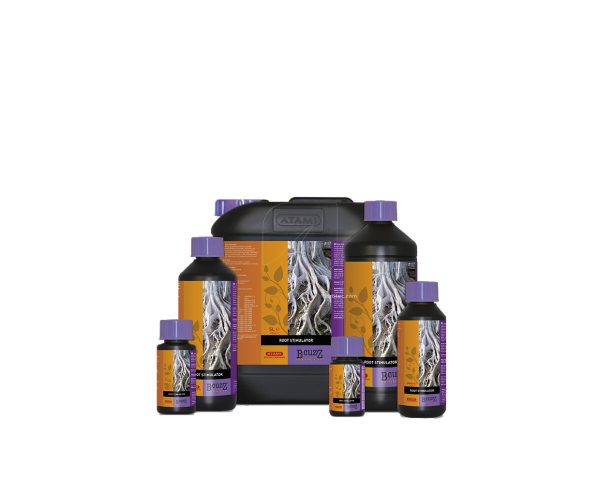 Estimulador radicular 100 ml