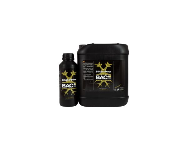 Silica power 250 ml BAC
