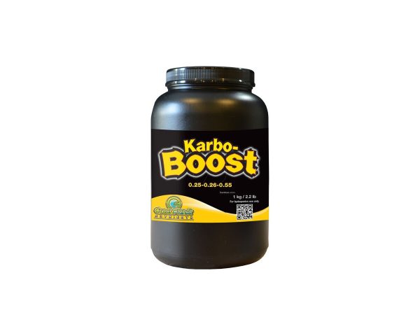Karbo boost 1kg