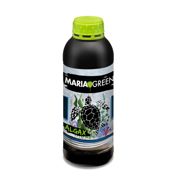 Algas marinas 250 ml - Image 3