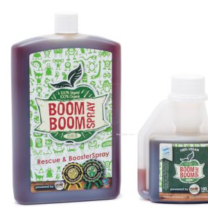 Boom Boom spray 100 ml