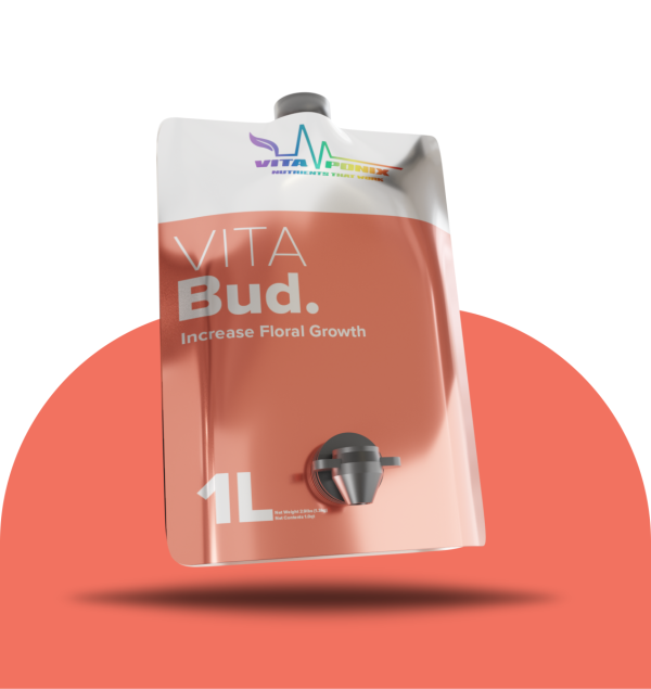 Vitabud 5 L Vitaponix