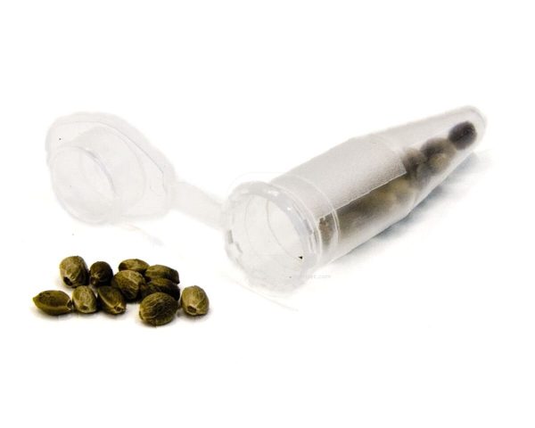 Tubo eppendorf grande (bolsa 1000 u)