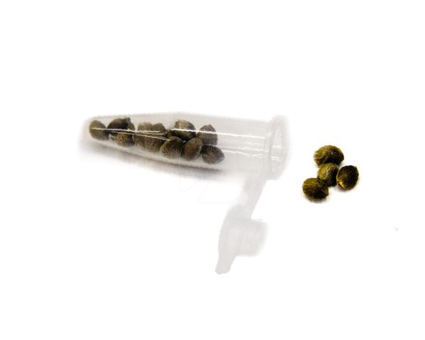 Tubo eppendorf grande (bolsa 1000 u) - Image 2