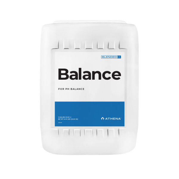 Balance 18,92 L