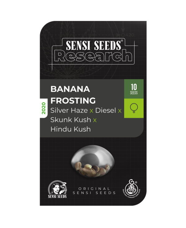 Banana frosting (10) Sensi Seeds